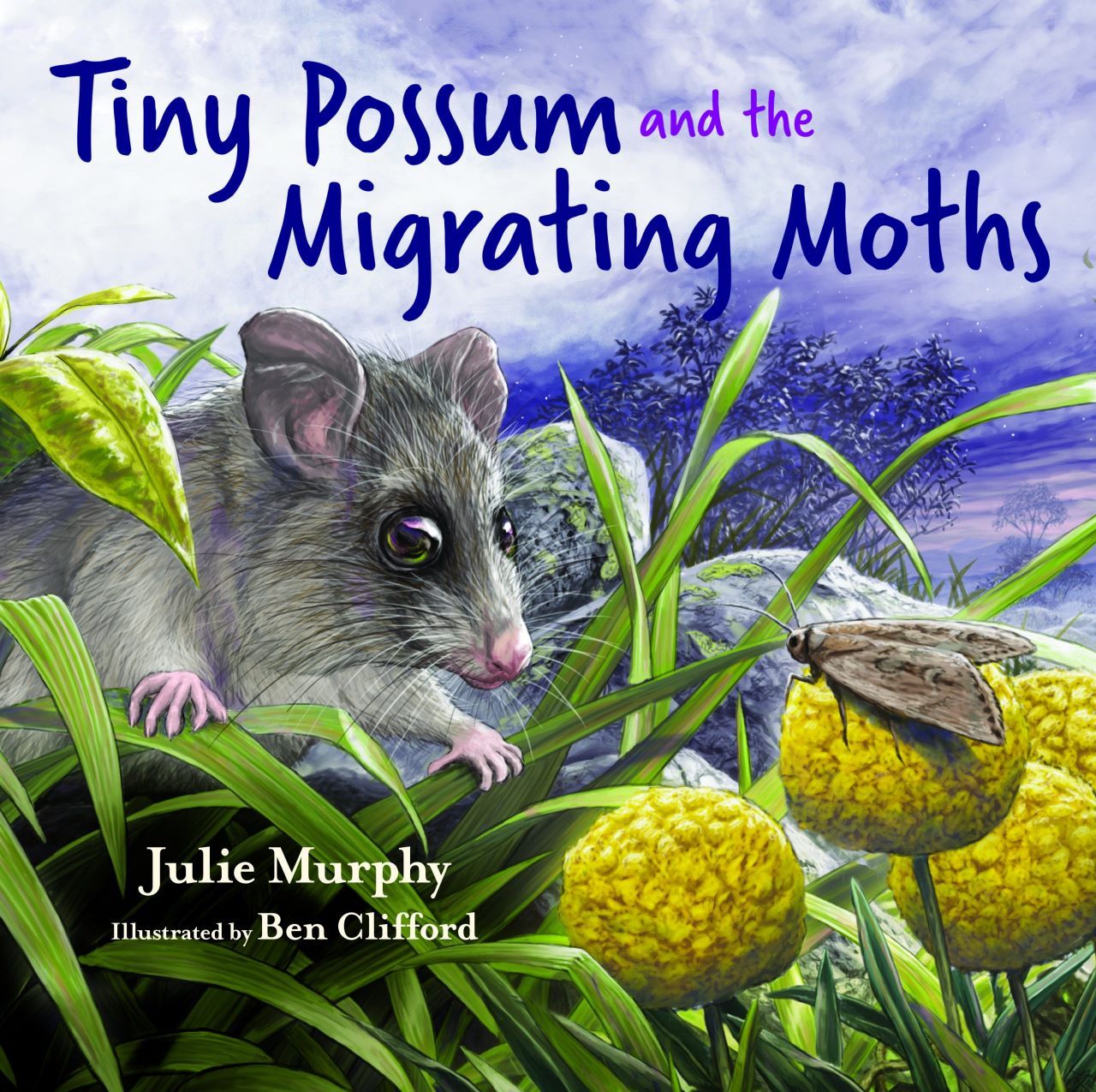 Cover of Tiny Possum and the Migrating Moths (CSIRO 2021)