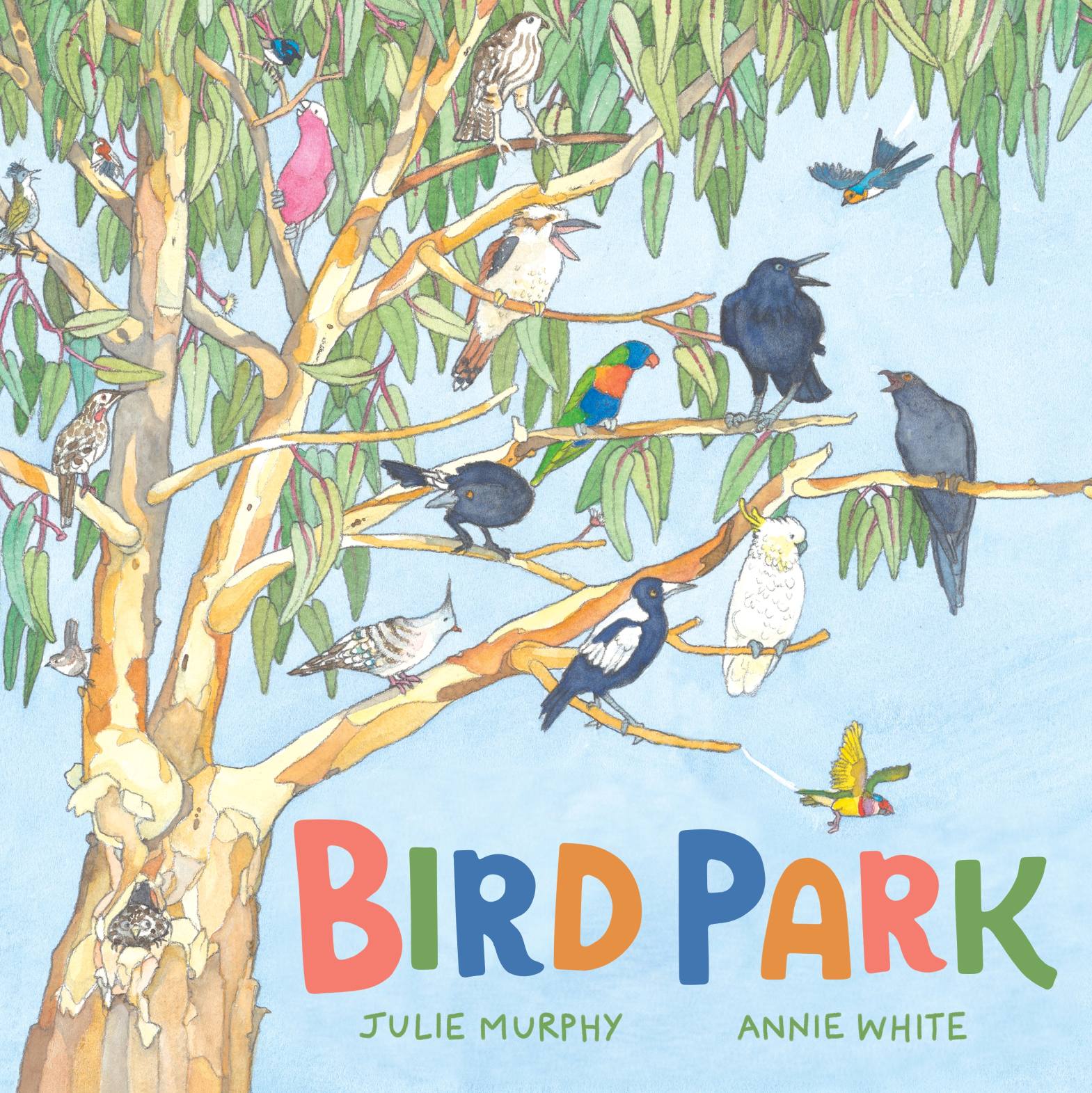 Various Australian native birds sitting in a gum tree against a bright blue sky.